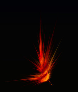 pluma de fénix, abstracto: 