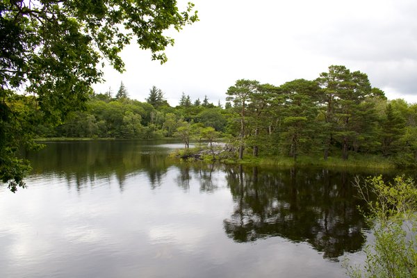 Lakes Of Killarney