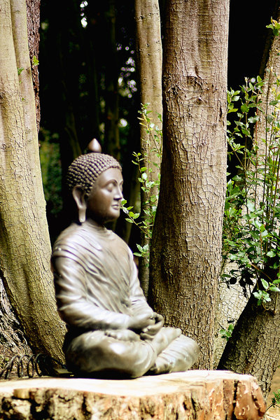 Meditation in the woods: Meditating Sculpture