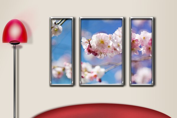 Wall with blossom frame