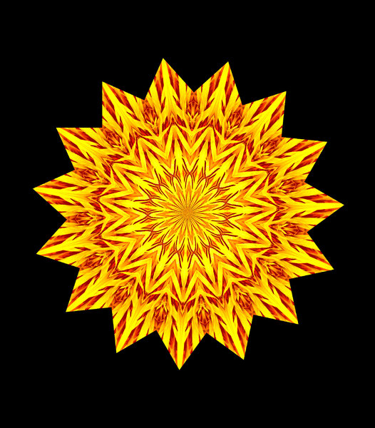 golden star flower