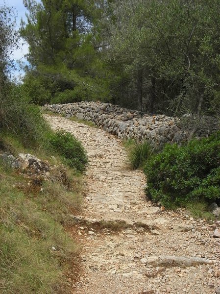 Pathway down hill: no description