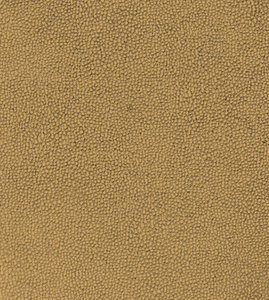 Leather Texture 7