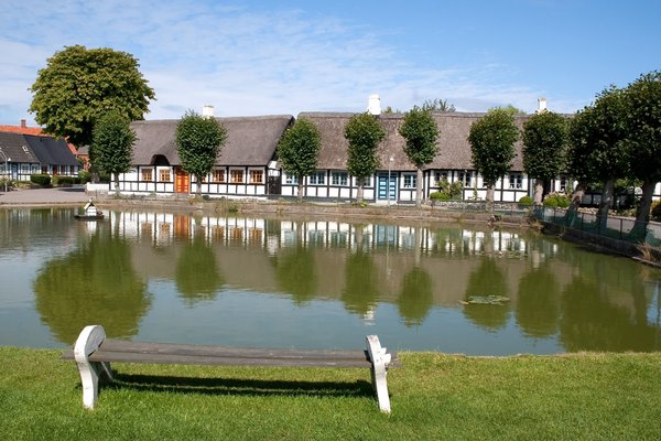 Village pond