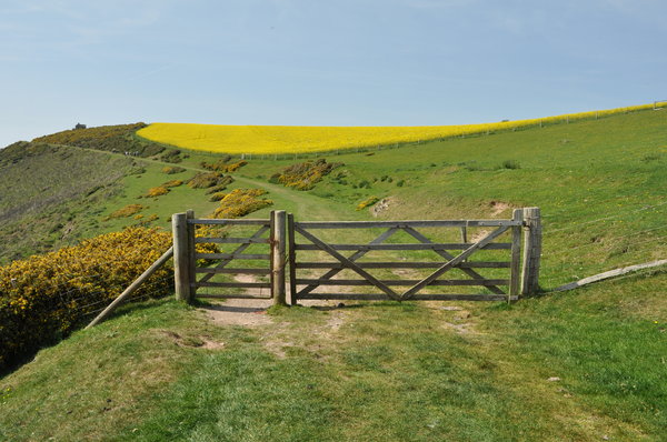 Gate blocking pathway