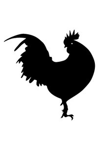 Silhouette Rooster