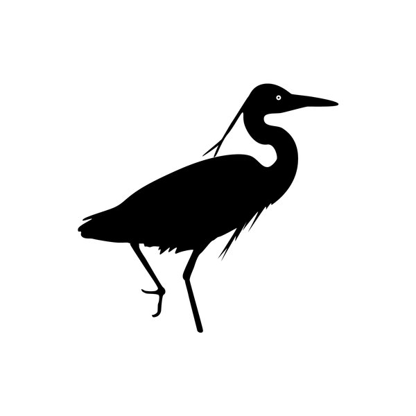 Silhouette Heron wading: 