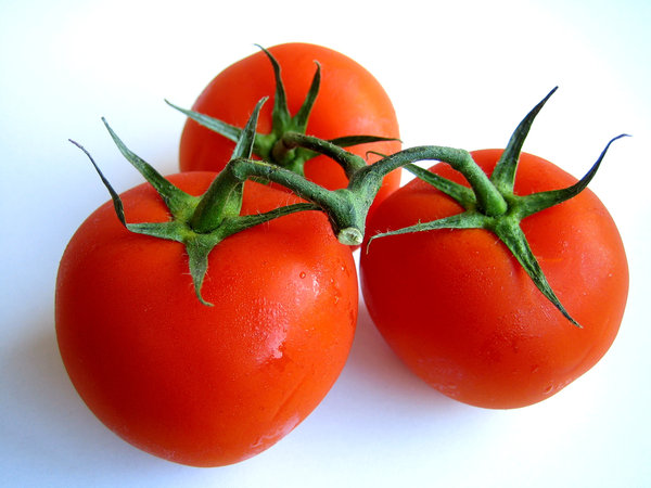 Tomatooos! 3: Visit http://www.vierdrie.nl