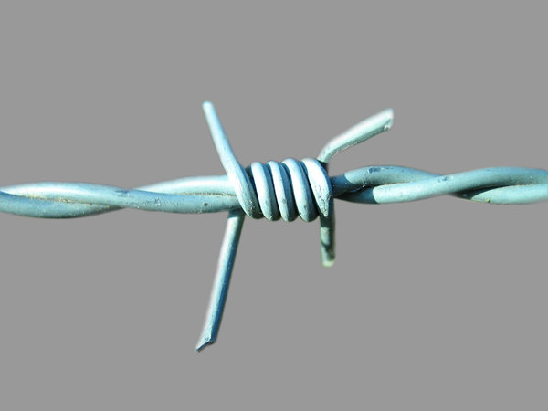Barbed-wire