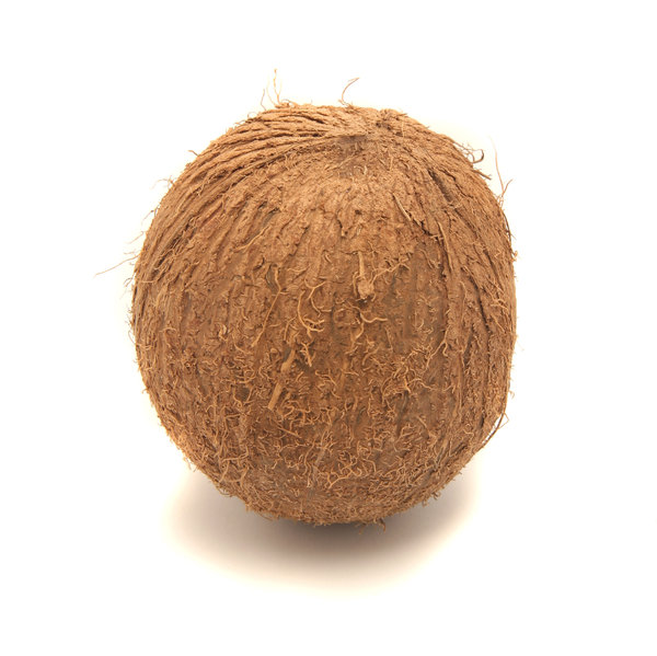 Coconut: 