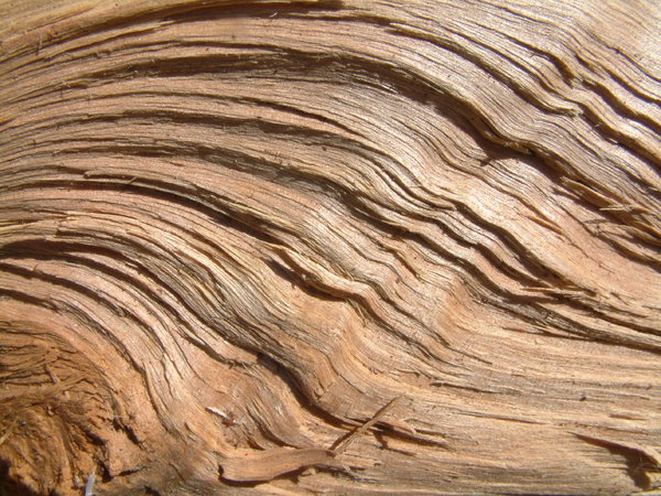 olas de madera: 