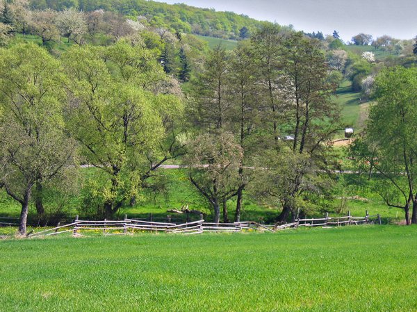 spring landscape in the hills