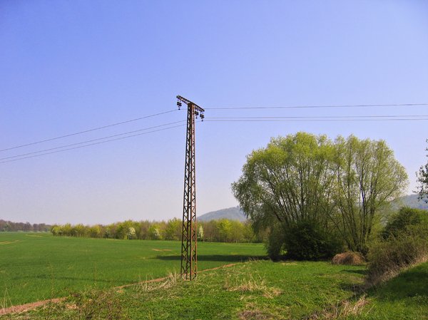 spring landscape / power pole