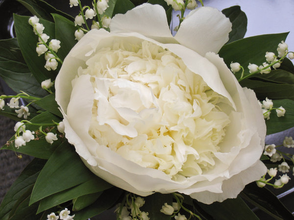 peony & lilies of the valley: peony and lilies of the valley bouquet