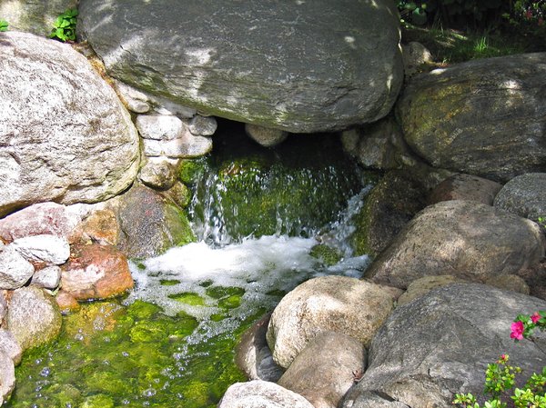 small waterfall with rocks