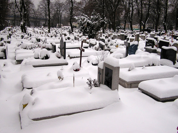 Снег похоронит