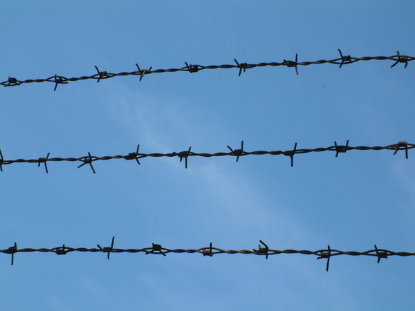 Barbed Wire: barbed wire against Free sky