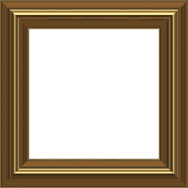 Gold Frame: A classic gold coloured picture frame.