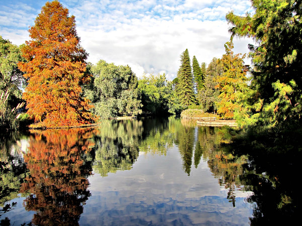 park lake autumn reflections