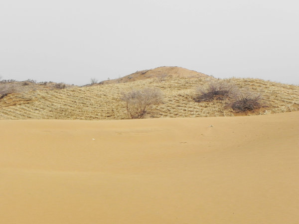 Shapotou woestijn: 