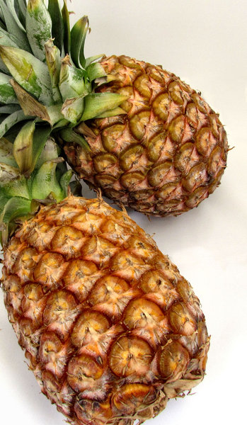 fresh pineapple1: fresh raw edible pineaplle fruit