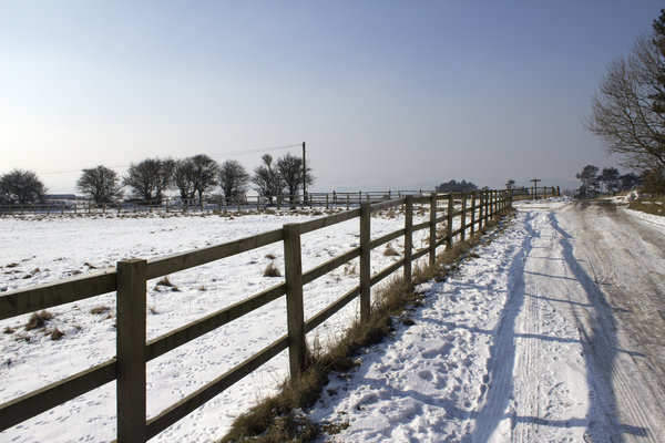 Farm fences in snow