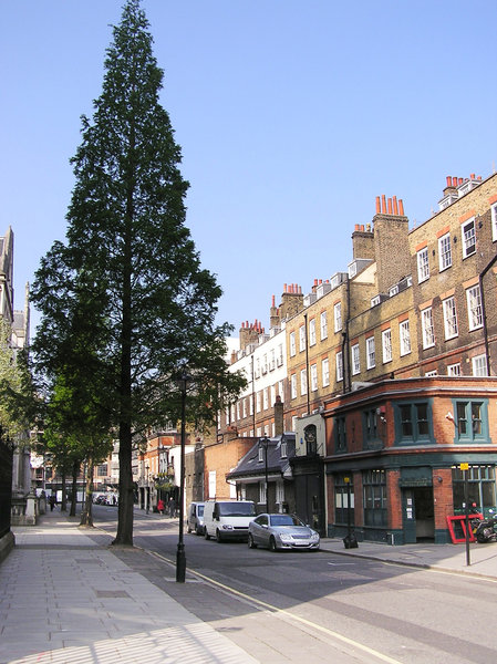 On London streets: A car on the street.A tree.