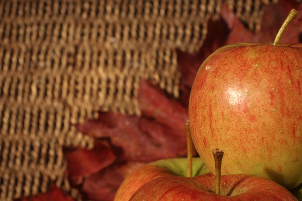 Apples, leafs and basket textu