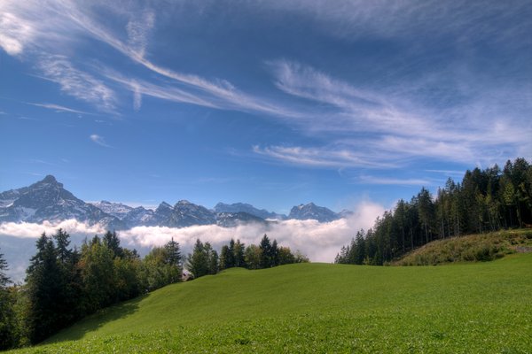 trawy, góry i chmury - h: 