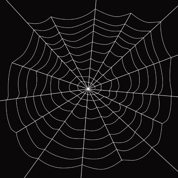 Spider's Web: 