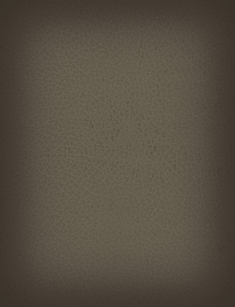 Leather Texture 5