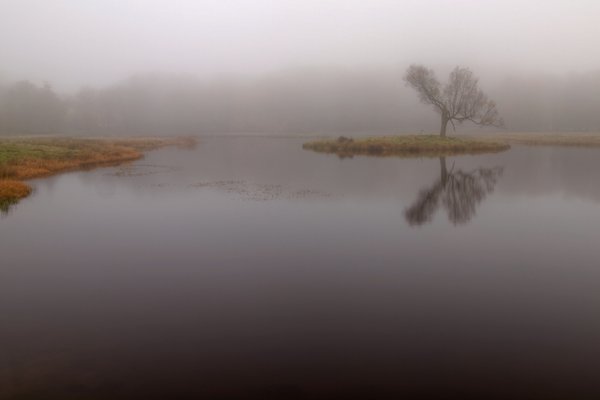 Misty lake - HDR