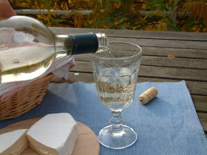 Wine and cheese: Serving cold white wine and cheese on a balcony