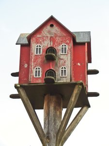 bird house for doves