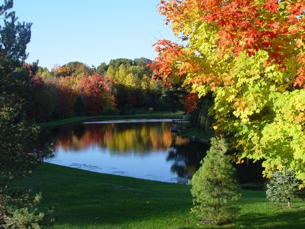 Teich im Herbst: 