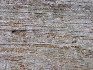 hout texturen 3: 