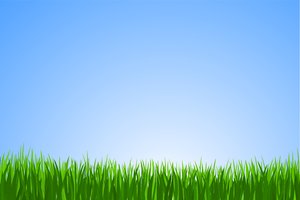 Vector Grass: Vector grass in the blue background