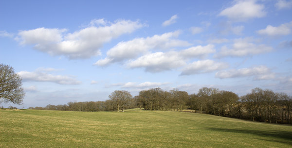 Early spring landscape