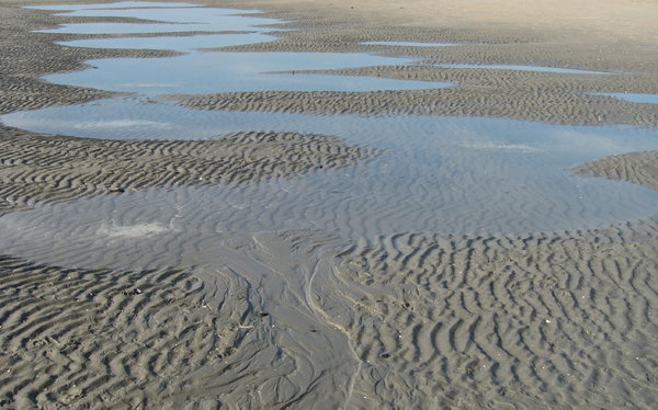 Sand and Water: Water on the beach