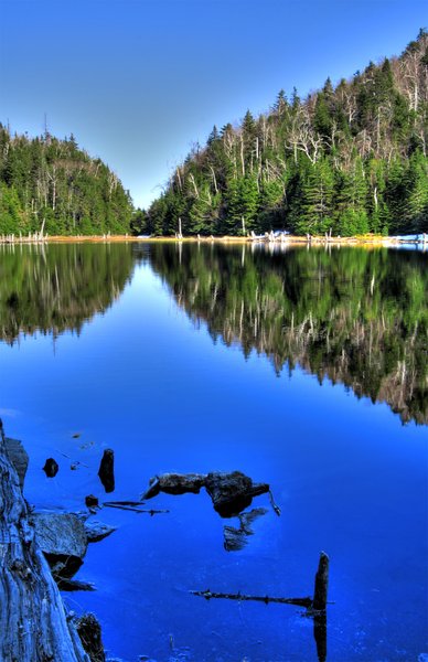 Lac Spruce - HDR