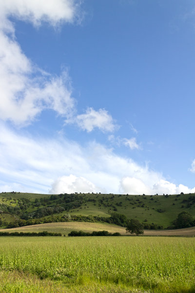 Hill landscape