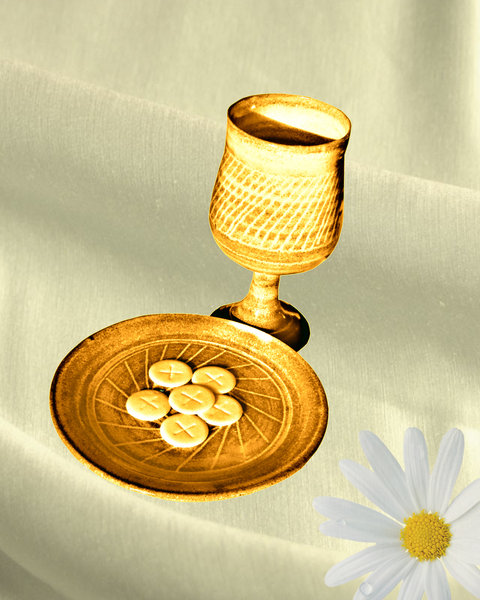 Learn The Significant Basic Principles You Have To Know About Nutritional Supplements