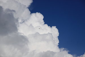 Vliegtuig in de Wolken