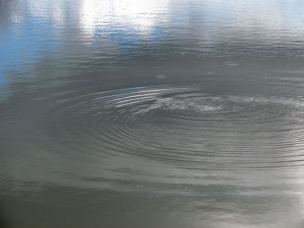 spreading ripples