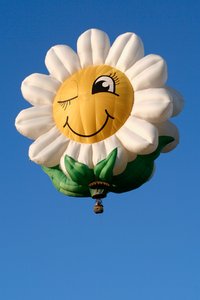 Lacht Daisy luchtballon