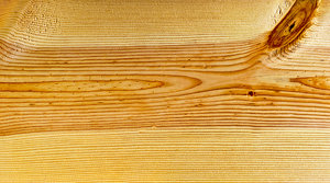 Pine Wood Grain Texture