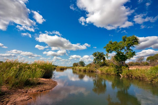Kruger Park Landscape: Landscape scenery in Kruger National Park, South Africa.
