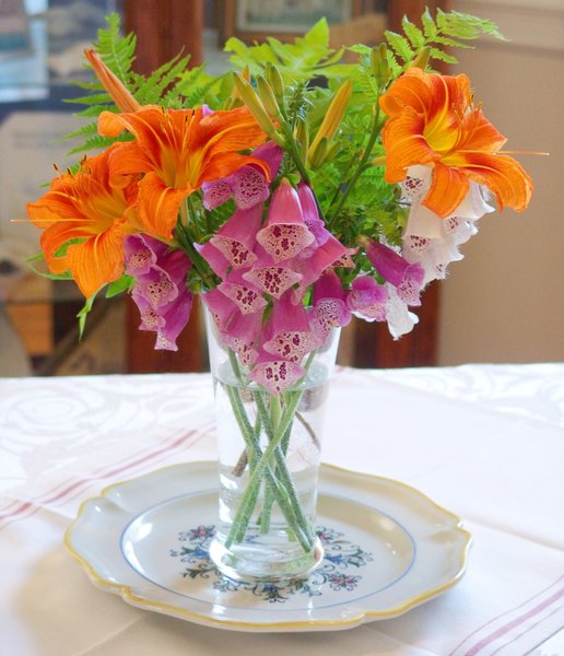 Wild Spring Flowers and Ferns