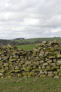 Old drystone wall