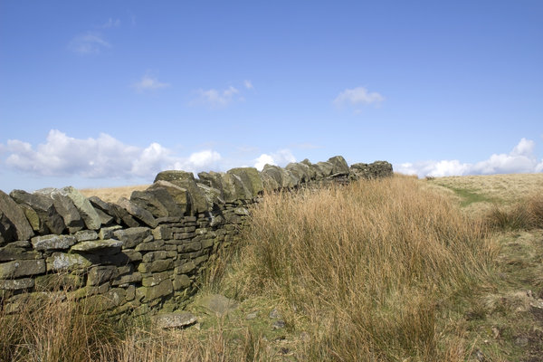 Old drystone walls